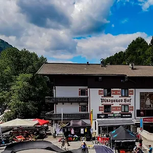 Pinzgauerhof - Inclusive Evening Dinner And Joker Card In Summer Отель